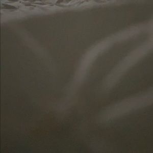 Meet your Posher, Alessandra